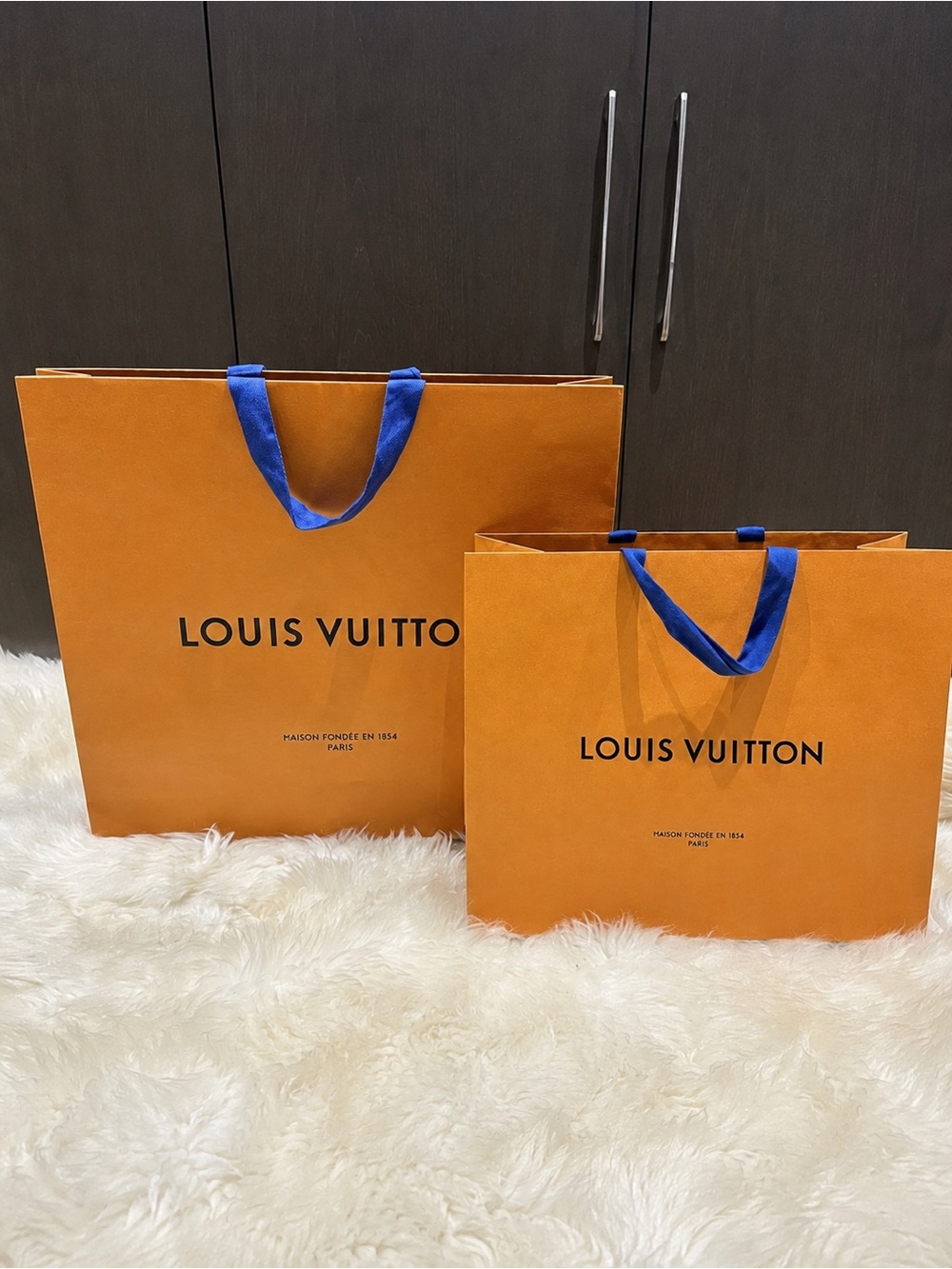 Louis Vuitton Authentic Shopping Paper Bags Set of 2 Large Medium